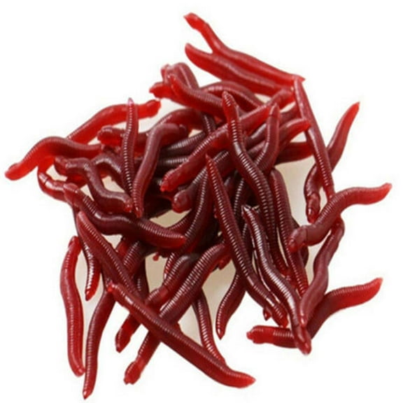 SPRING PARK 50Pcs Bass Fishing Worms, Soft Plastic Worms, Drop Shot Worms, Soft Plastic Baits, Bass Fishing Lures, Worms Soft Stickbaits, Soft Worm Lures, Fresh Water Fishing Bait