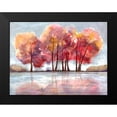 thumbnail image 2 of Charest, Doris 24x19 Black Modern Framed Museum Art Print Titled - Lake Foliage, 2 of 5