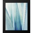 thumbnail image 2 of Grainne, Lupen 12x14 Black Modern Framed Museum Art Print Titled - Pale Blue Agave No. 1, 2 of 5