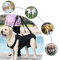 thumbnail image 3 of Dog Lift Harness for Large Dogs Sling for Whole Body Dog Legs Support Carriers Harness for Elderly Injured Disabled Dogs, 3 of 15