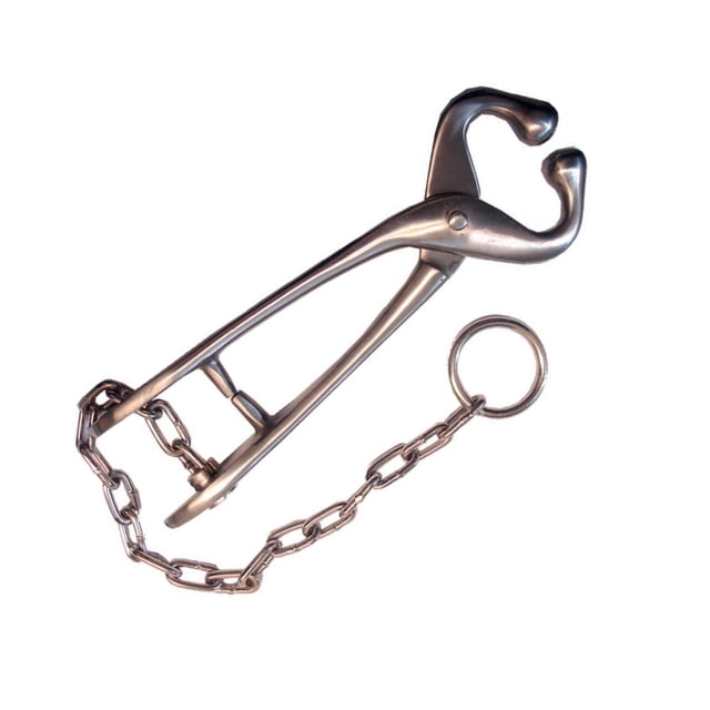 Anillo Nasal Con Cadena 200Mm GIMEX LS-229