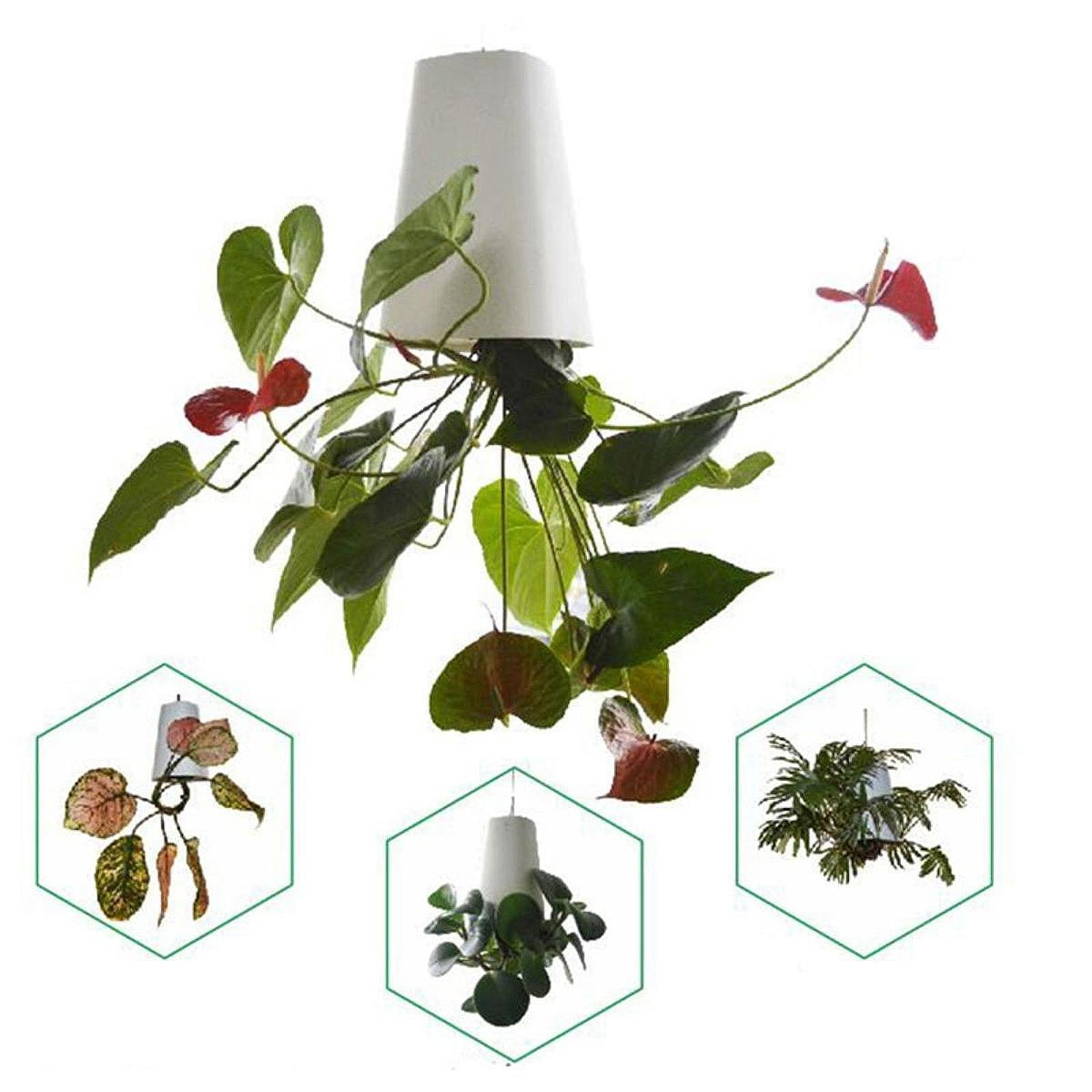 colaxi Flower Pot Gift Self Absorbing Decorative Hanging Planter Basket Upside Down Planter for Desk Home Office Kitchen White