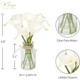 thumbnail image 2 of Artificial Flowers Calla Lily in Glass Vase with Faux Water,7Pcs Artificial Calla Lily Flower Real Touch Latex Flowers for Centerpiece Table Decorations Counter Decor(White Calla Lily), 2 of 5