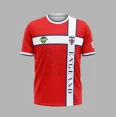thumbnail image 3 of Nueva camiseta de fútbol, regalo para fanáticos masculinos y femeninos, camiseta ligera, transpirable, cómoda, de secado rápido, impresa en 3D, talla asiática, 3 of 4