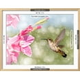 thumbnail image 3 of Dreamy Image Of A RubyThroated Hummingbird Hovering Next To A Pink Gladiolus Flower, Animals Framed Art Print Wall Art by Sari ONeal Sold by Art.Com, 3 of 3