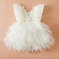 thumbnail image 4 of GYRATEDREAM Toddler Baby Girls Special Occasion Dresses Printed Princess Dress Ruffle Tulle Tutu Dress Birthday Summer Clothes 2025 Summer Style for 6M-5Y, 4 of 5