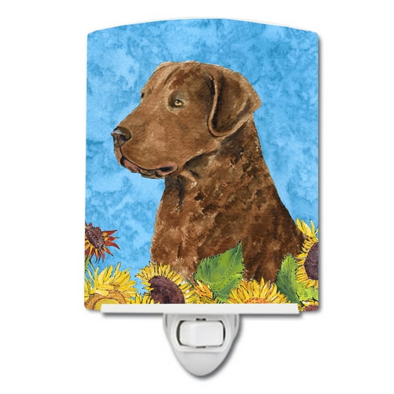 Caroline's Treasures SS4165CNL Curly Coated Retriever in Summer Flowers Ceramic Night Light, 6x4x3", multicolor