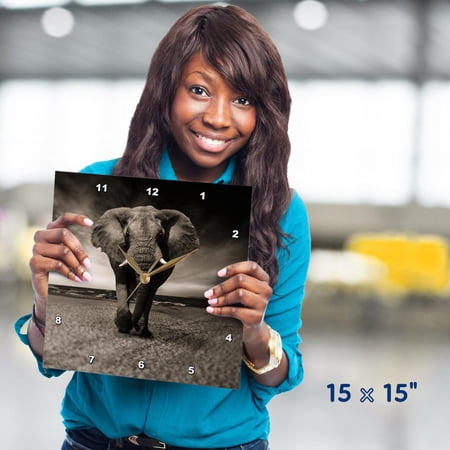 3dRose, African Wildlife Elephant Mammal Zoo Jungle, 15x15 Wall Clock