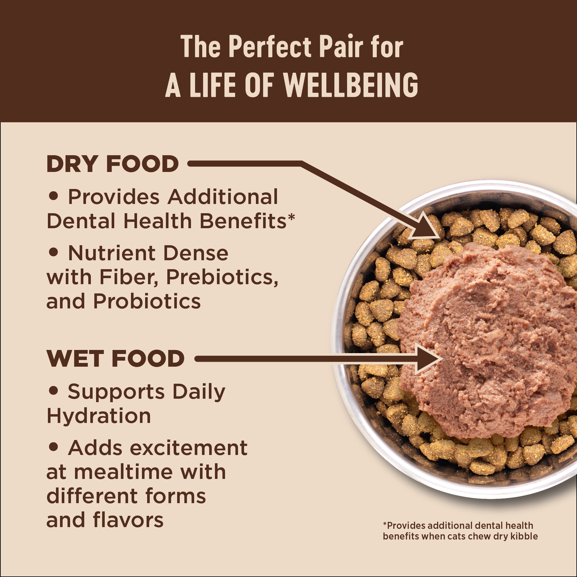 Wellness CORE+ Digestive Health Pate Variety Pack Adult Canned Wet Cat Food, Natural, Protein Rich, Grain Free, Chicken and Turkey Recipes, 3 oz, Pack of 12 Cans