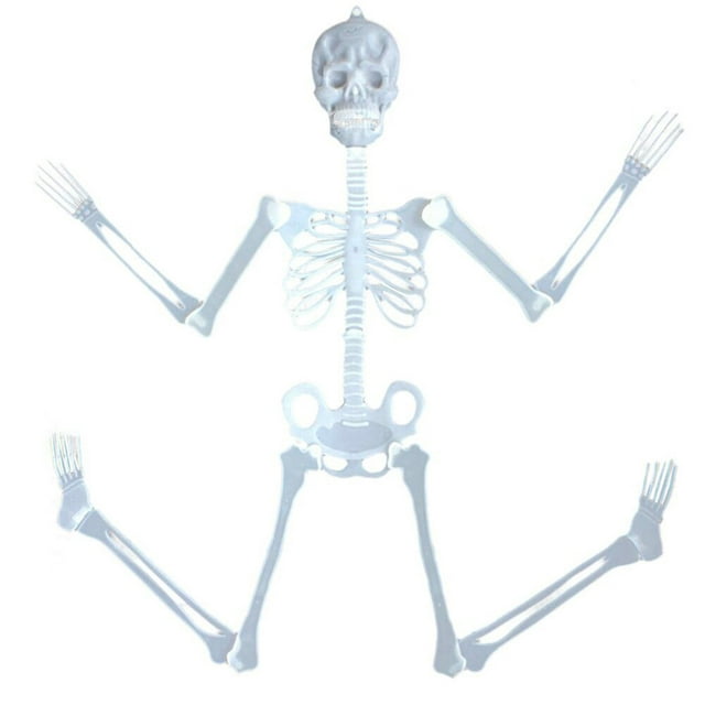 36" Skeleton Halloween Decorations, Realistic Full Body Movable Posable Joints Skeleton, Creepy Halloween Plastic Skeleton for Graveyard Decorations, Haunted House Props Indoor/Outdoor Decor