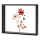 thumbnail image 1 of Marco de Flores Secas de Madera, Marco de Imagen Flotante de Acrílico Doble de 8 x 10 Pulgadas para Flores Secas/Mesa/DIY/Artesanías [Negro], 1 of 7