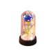 thumbnail image 1 of Regalos para las Mujeres Regalo de la Rosa Eterna para el Cumpleaños de las Mujeres Regalo para la Madre Rosa Encendida en Cúpula de Vidrio Regalo de la Rosa Eterna para el Día de la Madre Regalo de L, 1 of 6