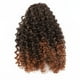 thumbnail image 2 of Cola de Caballo Rizada, Extensión de Cola de Caballo de Estilo Versátil Comomodo Con Peines para Mujeres, 2 of 7