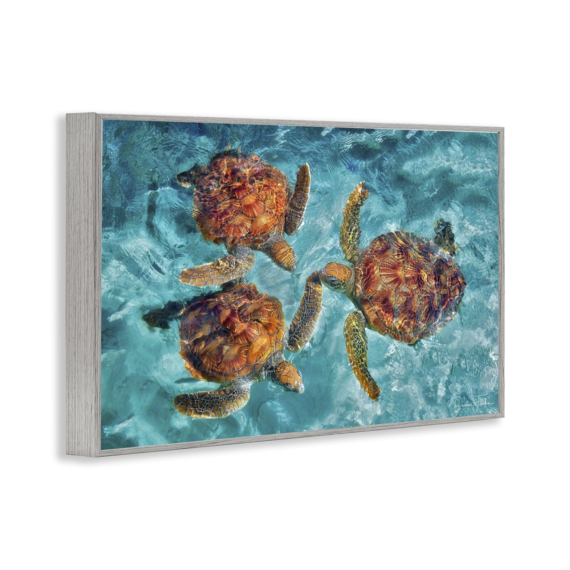 Stupell Industries Swimming Tortoise Trio Animals & Insects Painting Gray Framed Art Print Wall Art, 24 x 16