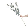 thumbnail image 3 of Mainstays Artificial Eucalyptus Long Stem, 3 of 5