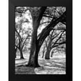 thumbnail image 2 of Maihara/Watt, Jeff/Boyce 19x24 Black Modern Framed Museum Art Print Titled - Oak Tree Study, 2 of 5