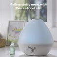 thumbnail image 3 of Frida Baby 3-in-1 Cool Mist Humidifier for Baby with Diffuser + Nightlight, Baby Humidifier for Bedroom, Nursery + Large Rooms, Quiet, Auto Shut Off, Runs +24hrs 0.5 Gallon Tank (1.9 Liter Tank), 3 of 13