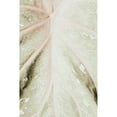 thumbnail image 3 of 1x Studio III 11x14 Black Modern Framed Museum Art Print Titled - Light green leaf, 3 of 5