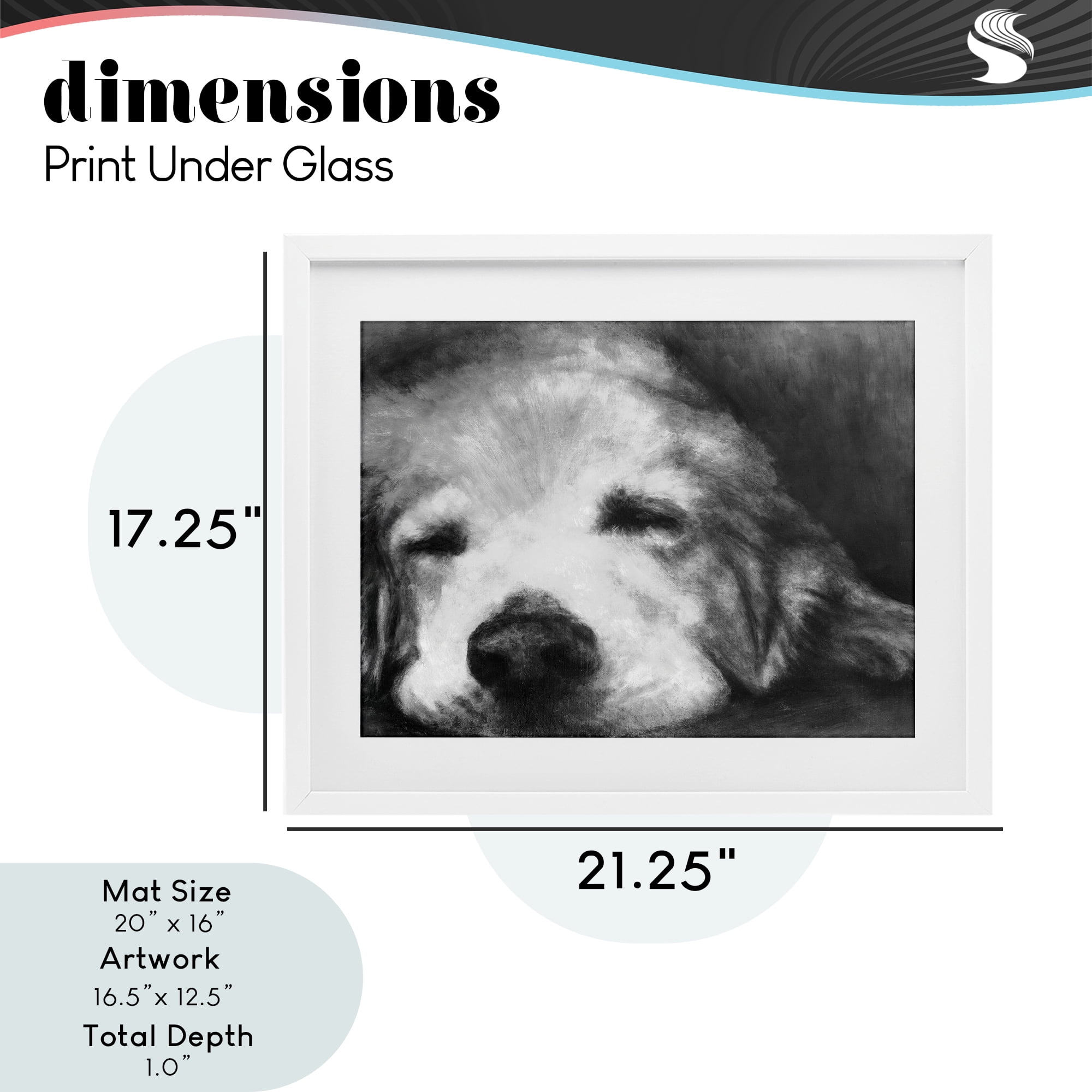 Stupell Industries Monochrome Dog Day Afternoon White Framed Print Under Glass, design by Walt Johnson