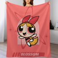 thumbnail image 4 of Manta de Las Chicas Superpoderosas, manta de tela de superficie vertical súper suave de varios tamaños, acogedora y cálida, adecuada para cama, sofá, campamento, viajes, para todas las estaciones,, 4 of 8