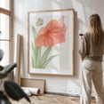 thumbnail image 3 of Amaryllis with Butterfly - Drawing Botanical Floral Flowers Nature Pastel Unframed Wall Art Print 8 x 12 inches, 3 of 16