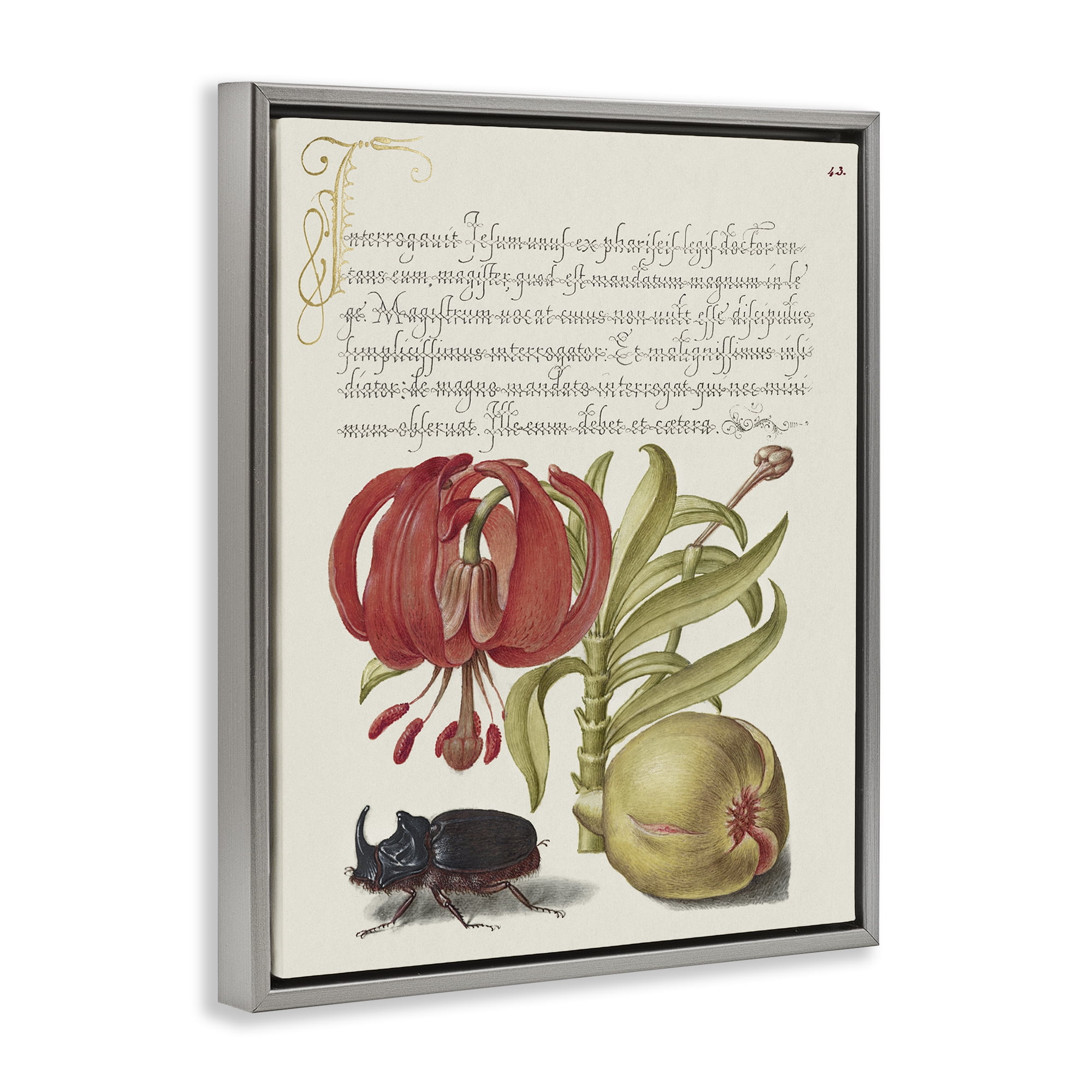 Stupell Industries Vintage Flora & Fauna Text & Numbers Painting Gray Floater Framed Canvas Art Print Wall Art, 17 x 21