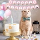 thumbnail image 3 of 223 Pieces Cat Party Supplies Set - (Serves 20) - Cat Birthday Party Decorations for Girls/Boys - Kitten Disposable Dinnerware with Happy Birthday Banner Large Foil Balloons Cake Topper, Plates Cups,, 3 of 7