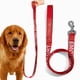thumbnail image 2 of Typpkmm Small Pet Dogs and Leashes Solid Color Service Dog Emotional Support Jacquard Leash, 2 of 7