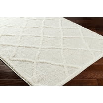Hauteloom Daube Living Room, Bedroom Area Rug - Contemporary - Plush Pile - Beige, White - 5'3" x 7'