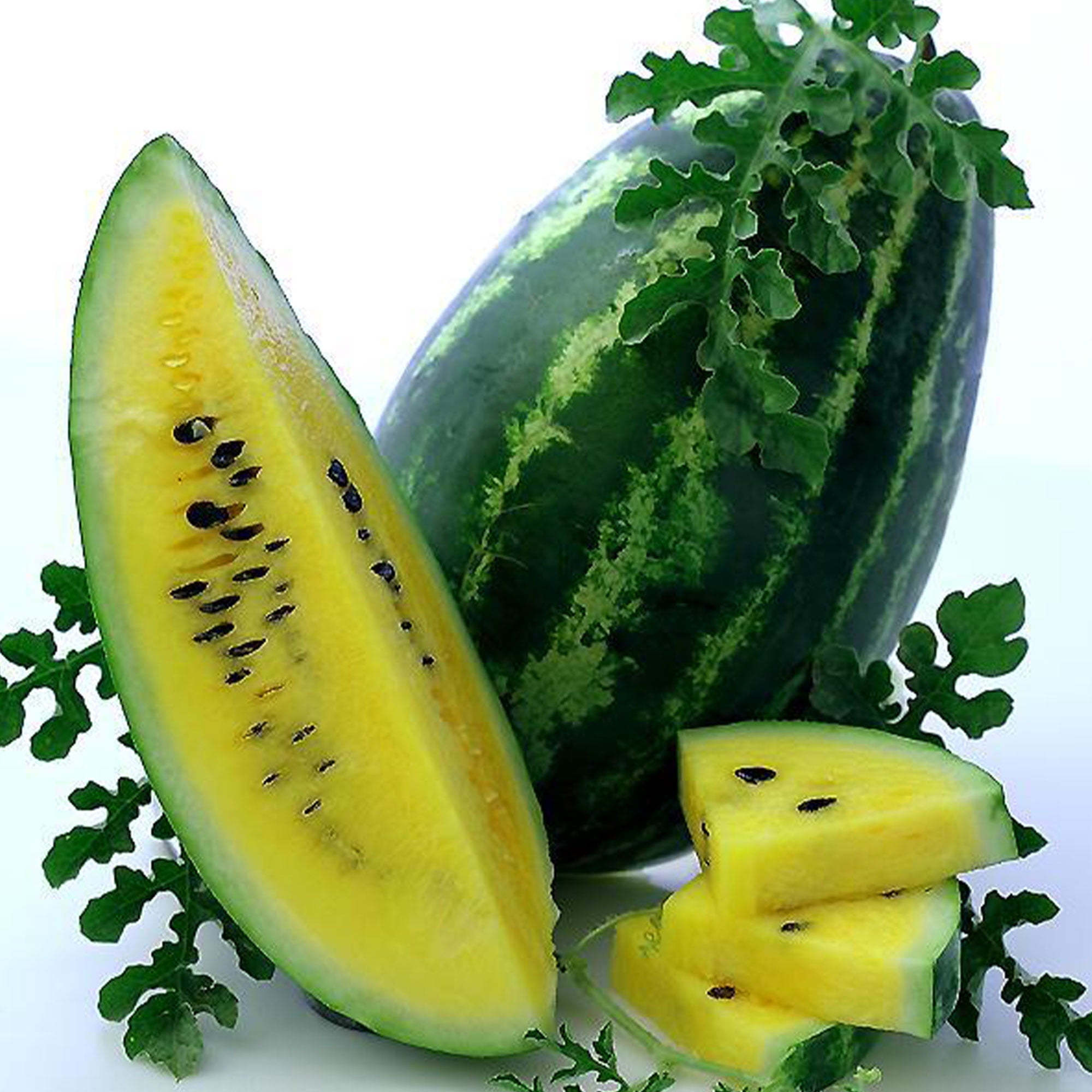 Mountain Sweet Watermelon Seeds 2 g 25 Seeds Heirloom, Open