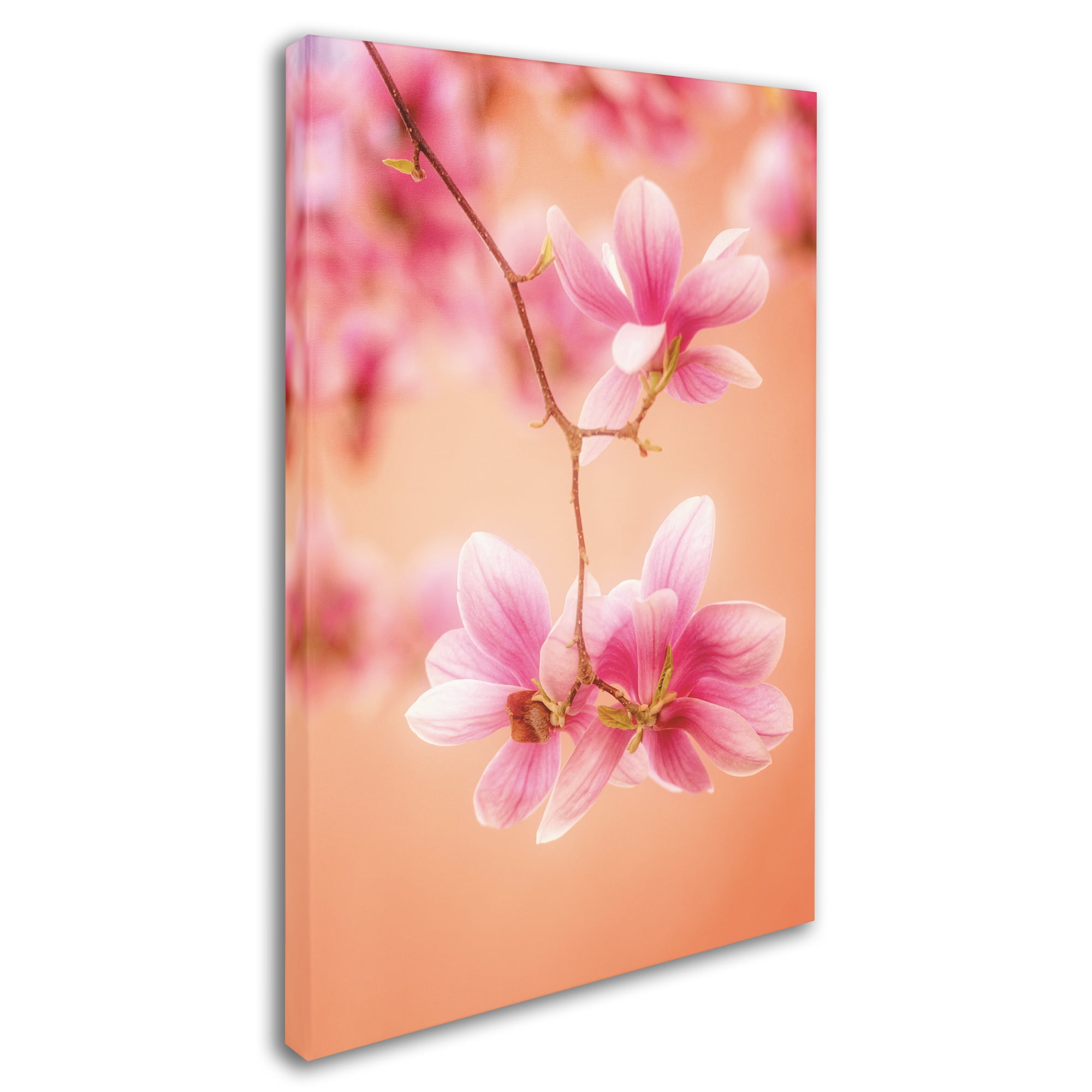 Trademark Fine Art 'Melodies Of Spring' Canvas Art by Philippe Sainte-Laudy