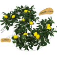 thumbnail image 5 of Flexible Artificial Lemon Branch For Table Centerpieces Commercial Space Designs Durable Faux Plant Display Multicolor, 5 of 5