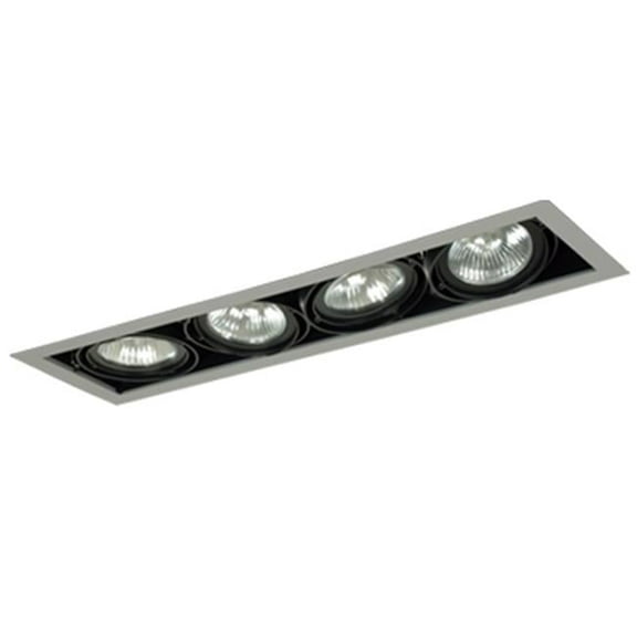 4-Light Square Par30 Double Gimbal, Silver & Black