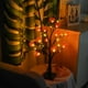 thumbnail image 5 of Mesa De Luz De Árbol Led Con Luz De Noche De Hojas De Arces De Murciélago De Calabaza Para Decoración De Halloween seitruly HA040813-04, 5 of 5