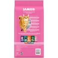 thumbnail image 3 of Iams Proactive Health Turkey Dry Cat Food, 3 Lb Bag, 3 of 17
