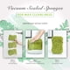 thumbnail image 5 of Esponja De Lufa Corporal De Doble Textura De Limpieza Profunda Spongentle Sellada Al Vacío Para Baño Y Ducha Para Una Exfoliación Suave Y Profunda Espuma Generosa Y Rica (Paquete De 3), 5 of 5