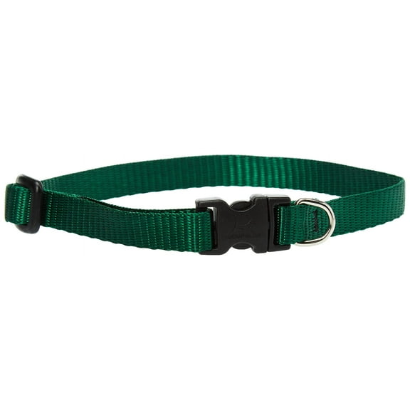 LupinePet Basics 1/2" Green 10-16" Adjustable Collar for Small Dogs