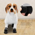thumbnail image 4 of Dog Shoes Pet Dog Shoes Dog Boots Soft Outdoor for Indoor Dogs Puppies ANGGREK Otros, 4 of 8
