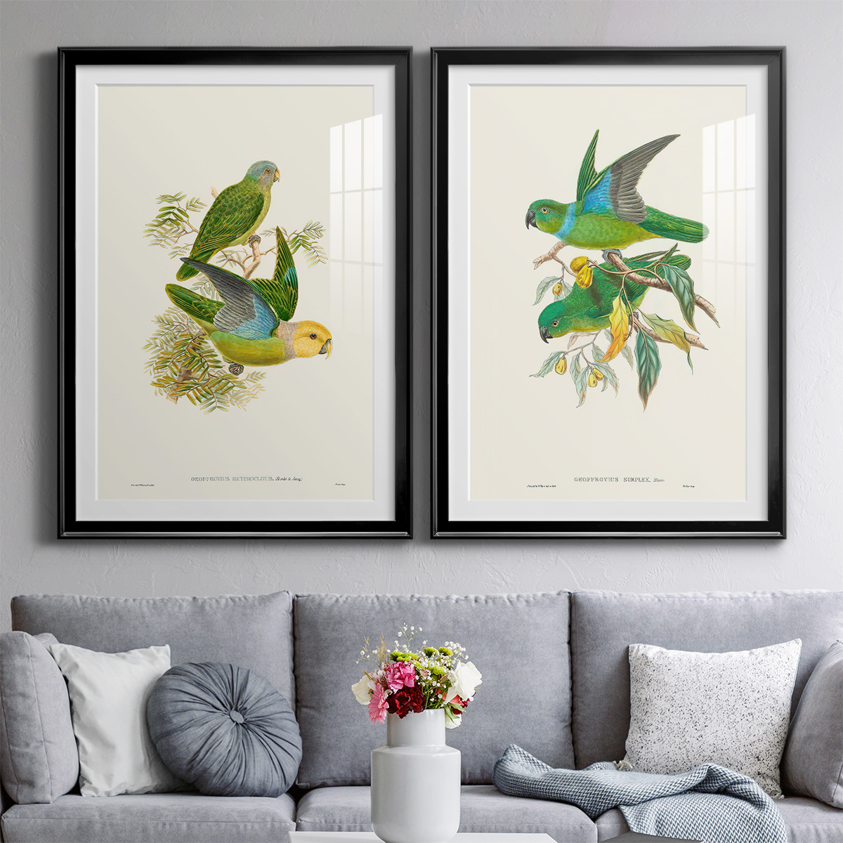 Wexford Home Lime & Cerulean Parrots I Premium Framed Print, 30.5" x 42.5" - Ready to Hang, Black (Set of 2)