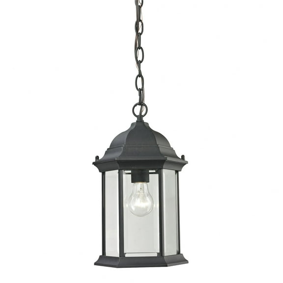 Thomas Lighting Spring Lake 1 Light Exterior Hanging Lamp in Matte Textured Black (8601EH/65)