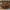 Cherry, variant on ACME Vendome Coffee Table (Square), Cherry
