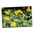 thumbnail image 1 of Gango Home Decor Yellow Daisies II by Alan Hausenflock (Ready to Hang); One 36x24in Hand-Stretched Canvas, 1 of 4