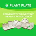 thumbnail image 5 of Plant Plate Compostable Togo Clamshell Food Containers, 8x8 Inch, 100 Count, 5 of 8