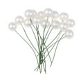 thumbnail image 1 of Rongfmy Mousse Embellissements Blanc, 1 of 9
