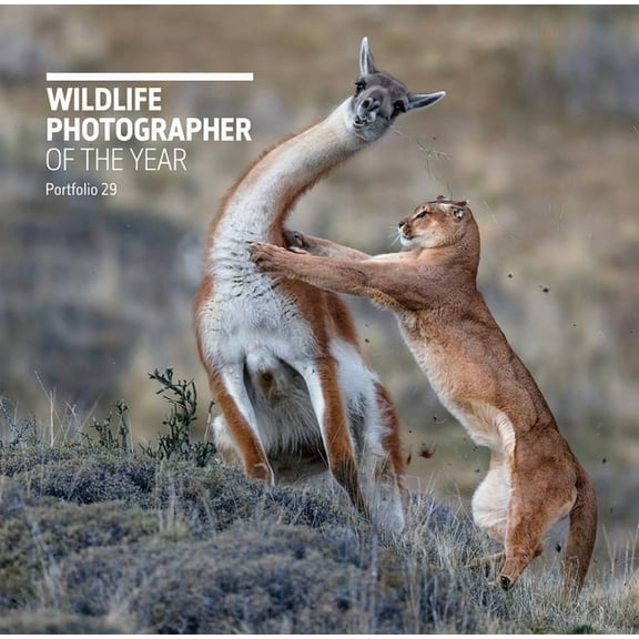 Wildlife Photographer of the Year Wildlife Photographer of the Year: Portfolio 29, (Hardcover)