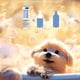 thumbnail image 3 of Máquina Automática para Hacer Espuma para Mascotas, Dispensador de Jabón Inteligente con Carga USB para Gatos, Accesorios de Ducha Recargables para Perros y Mascotas, 3 of 5