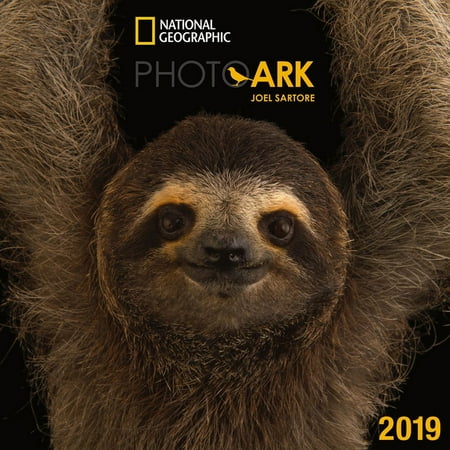 Zebra Photo - 2019 National Geographic Photo Ark Wall, by Zebra Publishing