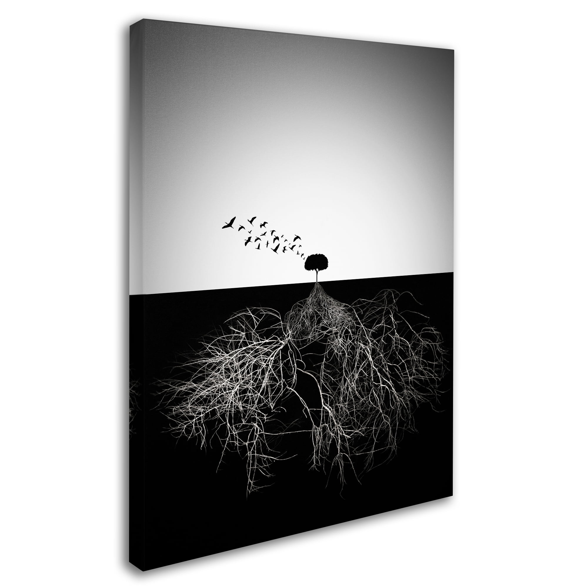 Trademark Fine Art 'Do Not Judge According To Appearance II' Canvas Art by Sourig Arslanian