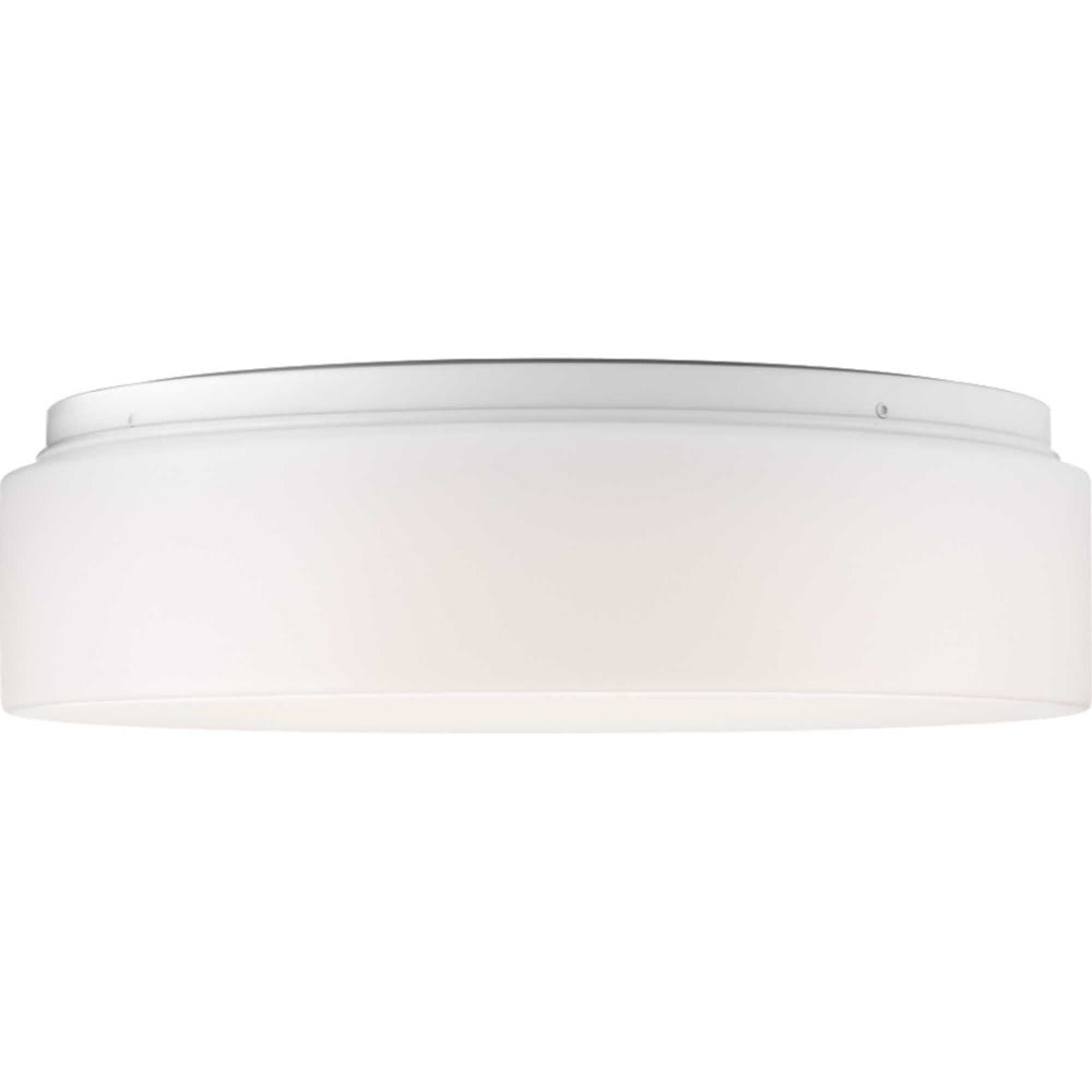 One-Light 13-1/2" LED Flush Mount