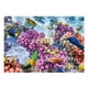 thumbnail image 2 of Acuario 3D Sunnimix Etiqueta engomada del fondo del tanque de peces XS, 2 of 8